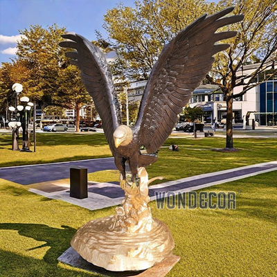 Bronze Bald Eagle Sitting on Tree